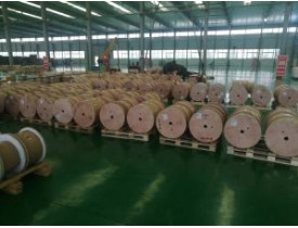 雙玻璃絲包線有哪些特征？